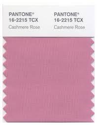 cashmere rose