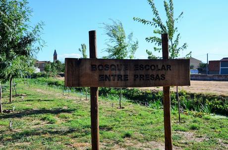 Chaleco de flecos!!! Chaleco de flecos!!!