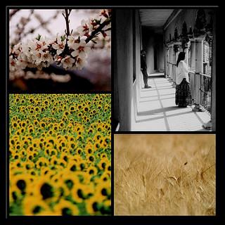 Las vidas del poeta XXIX