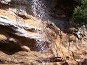 hermoso cautivante ambiente selvas Urunday Parque Provincial “Cañadón profundidad”.