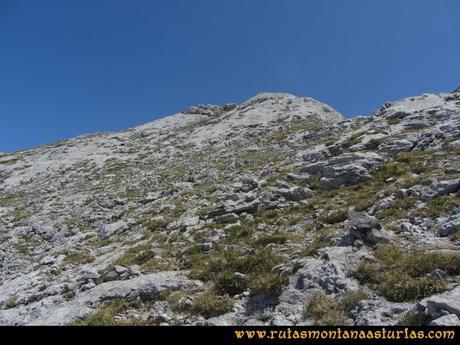 Mirador de Ordiales y Cotalba: Cercanías de la cima del Cotalba