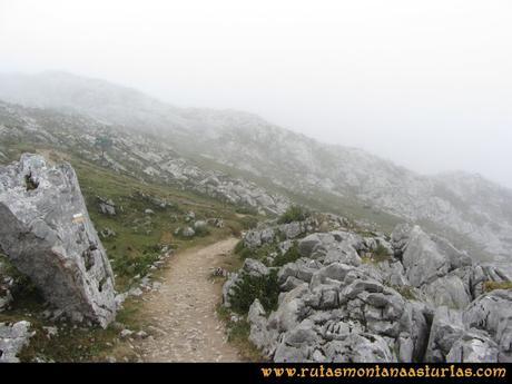 Mirador de Ordiales y Cotalba: Vegarredonda