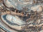 búsqueda signos vida marciana podría destruirlos