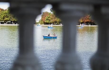 GREY AND BROWN IN THE PARK
