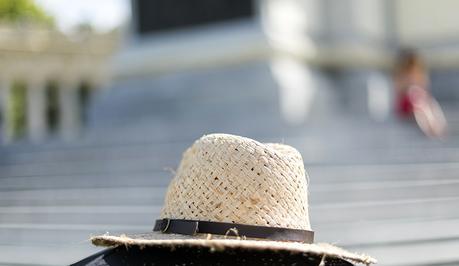 GREY AND BROWN IN THE PARK