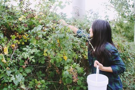 Recogiendo moras (Blackberry picking)