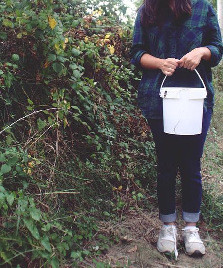 Recogiendo moras (Blackberry picking)