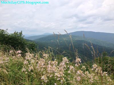 El Este de los Estados Unidos V: Blue Ridge y el Parque Nacional Shenandoah