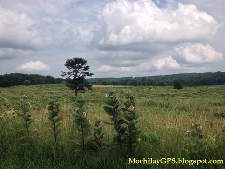 El Este de los Estados Unidos V: Blue Ridge y el Parque Nacional Shenandoah