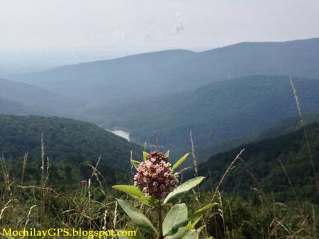 El Este de los Estados Unidos V: Blue Ridge y el Parque Nacional Shenandoah