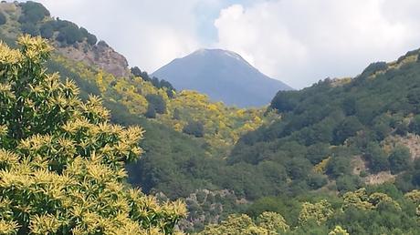 SICILIA PARTE III, SUBIENDO AL ETNA Y STROMBOLI, UNA ISLA PARA PERDERSE