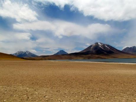 Laguna altiplánica Miscanti. Atacama. Chile