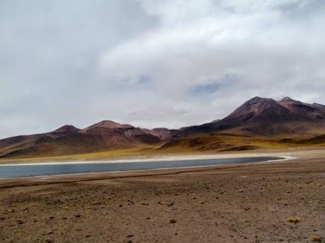 Laguna altiplánica Miscanti. Atacama. Chile