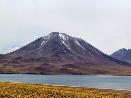 Laguna altiplánica Miscanti. Atacama. Chile