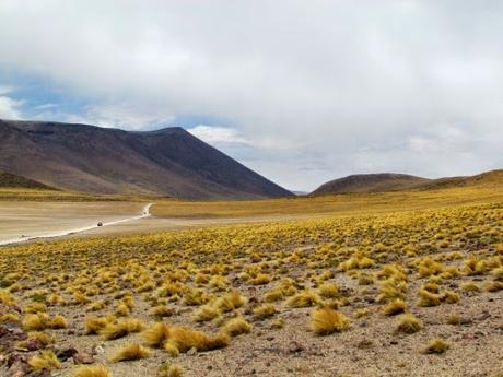 Laguna altiplánica Miscanti. Atacama. Chile