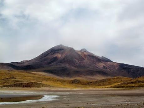 Laguna altiplánica Miscanti. Atacama. Chile