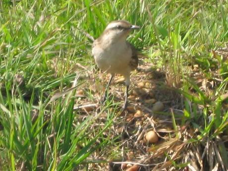 Ecoportal de Piedra, Galería de Imágenes.