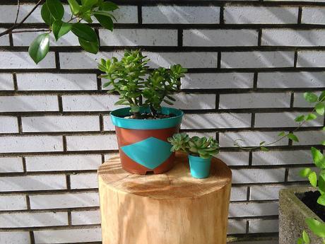 Reciclando macetas de plástico