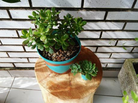 Reciclando macetas de plástico