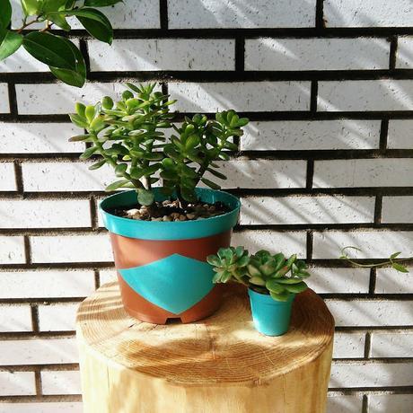 Reciclando macetas de plástico