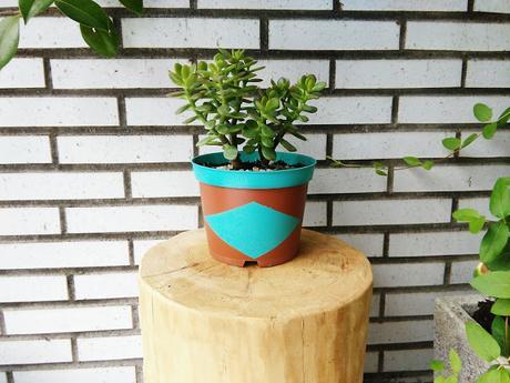 Reciclando macetas de plástico