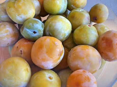 Mermelada de ciruela casera Mermelada de ciruela casera