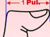 Pulgadas Scrapbooking.