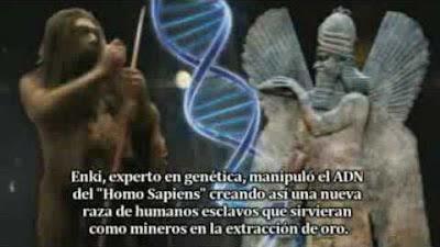 NUEVA TEORIA SUGIERE QUE LOS SERES HUMANOS CON EL TIPO DE SANGRE RH NEGATIVO PERTENECEN A UN LINAJE EXTRATERRESTRE