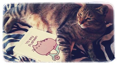 [Engullendo viñetas] 'Yo soy Pusheen', de Claire Belton