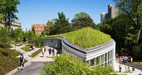 Centro de Visitantes del Jardín Botánico de Brooklyn – Weiss + Manfredi NYC-255-Brooklyn Botanic Garden Visitor Center-1