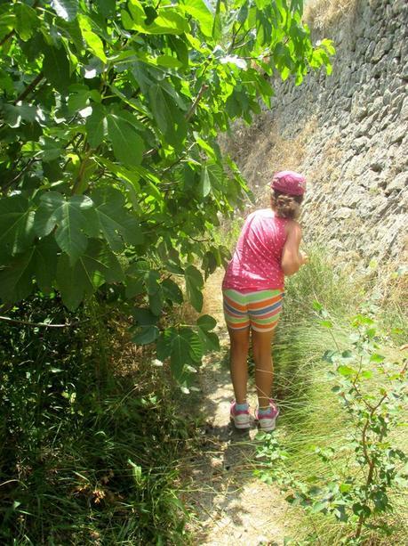 museo etnologico, alpatró, el castellot, casita de baix, turismo rural, Alicante interior, blog solo yo, solo yo, blog turismo rural, 