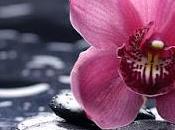 ¿Eres hipersensible? ¡Eso malo!