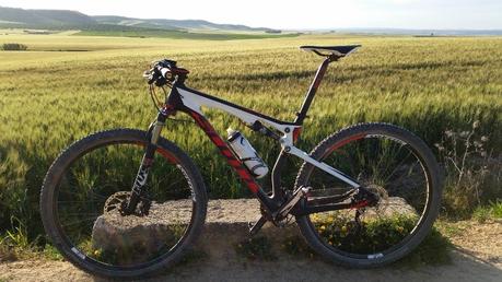 Análisis cubiertas de MTB Schwalbe Rocket Ron