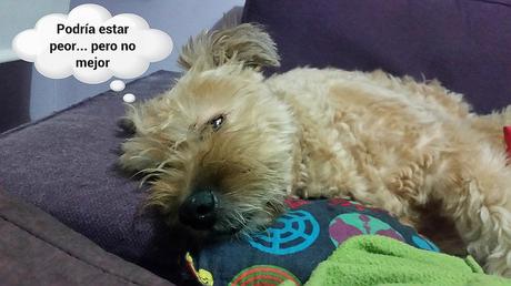 estamos tan agustito