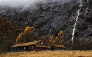 Norwegian wood
