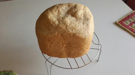 20141116_130049.jpg image