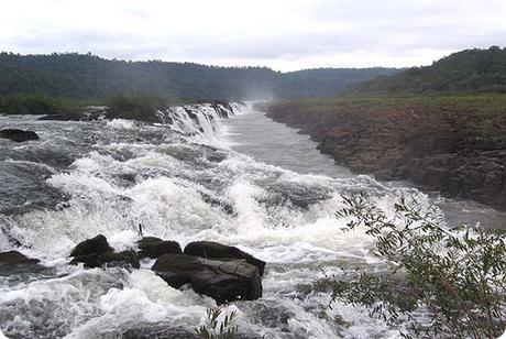 Los sonidos y movimientos marcan el ritmo de este tesoro natural: Reserva de Biosfera Yabotí.