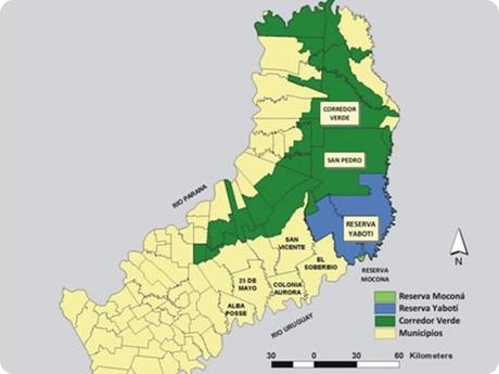 Los sonidos y movimientos marcan el ritmo de este tesoro natural: Reserva de Biosfera Yabotí.