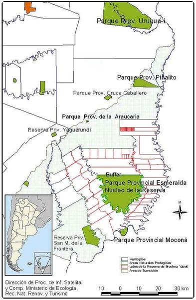 Los sonidos y movimientos marcan el ritmo de este tesoro natural: Reserva de Biosfera Yabotí.