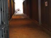 reencuentros, viajes demás
