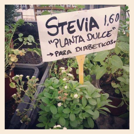 Stevia, todo lo que necesitas saber sobre este endulzante sustitutivo del azúcar