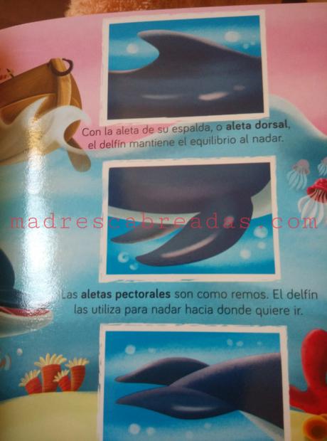 Libros infantiles National Geographic Kids La selva y El delfín