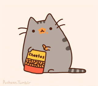 BookTag: Pusheen cat