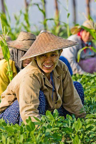 Mágica Birmania: 10 secretos de Myanmar que debes conocer campo myanmar
