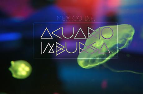 Acuario Inbursa | México D.F. (2015)