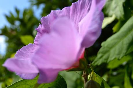 DETALLES... PARA RECORDAR...