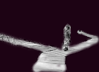 La vida como un viaje