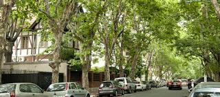 Defensor impulsa arbolado con DNI