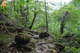 La Ribeira Sacra en dos días