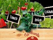 Sorteo Huertos Urbanos Solís